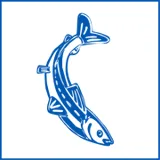 Logo De Zilvervis