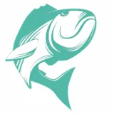 Logo Fish a'gogo