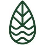 Logo O'yo