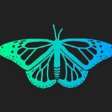 Logo Darwin's Cocoon
