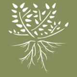 Logo Schwaz