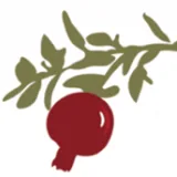 Logo Anar