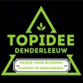 Logo Topidee