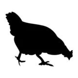 Logo Cocottes