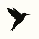 Logo Nooi