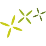 Logo Eraly