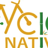 Logo Cyclonative