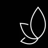 Logo SOFlien