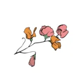 Logo La Barraca