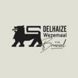 Logo AD Delhaize