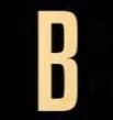 Logo Bustique