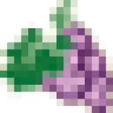 Logo Den Druivelaer