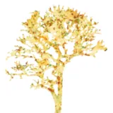 Logo La Roserai