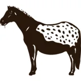 Logo 't Luipaard